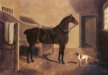  Favorito Arte - Un entrenador favorito de caballos y perros en un establo Herring Snr John Frederick caballo